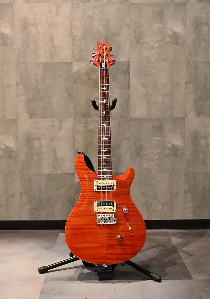 ギター PRS SE CUSTOM
